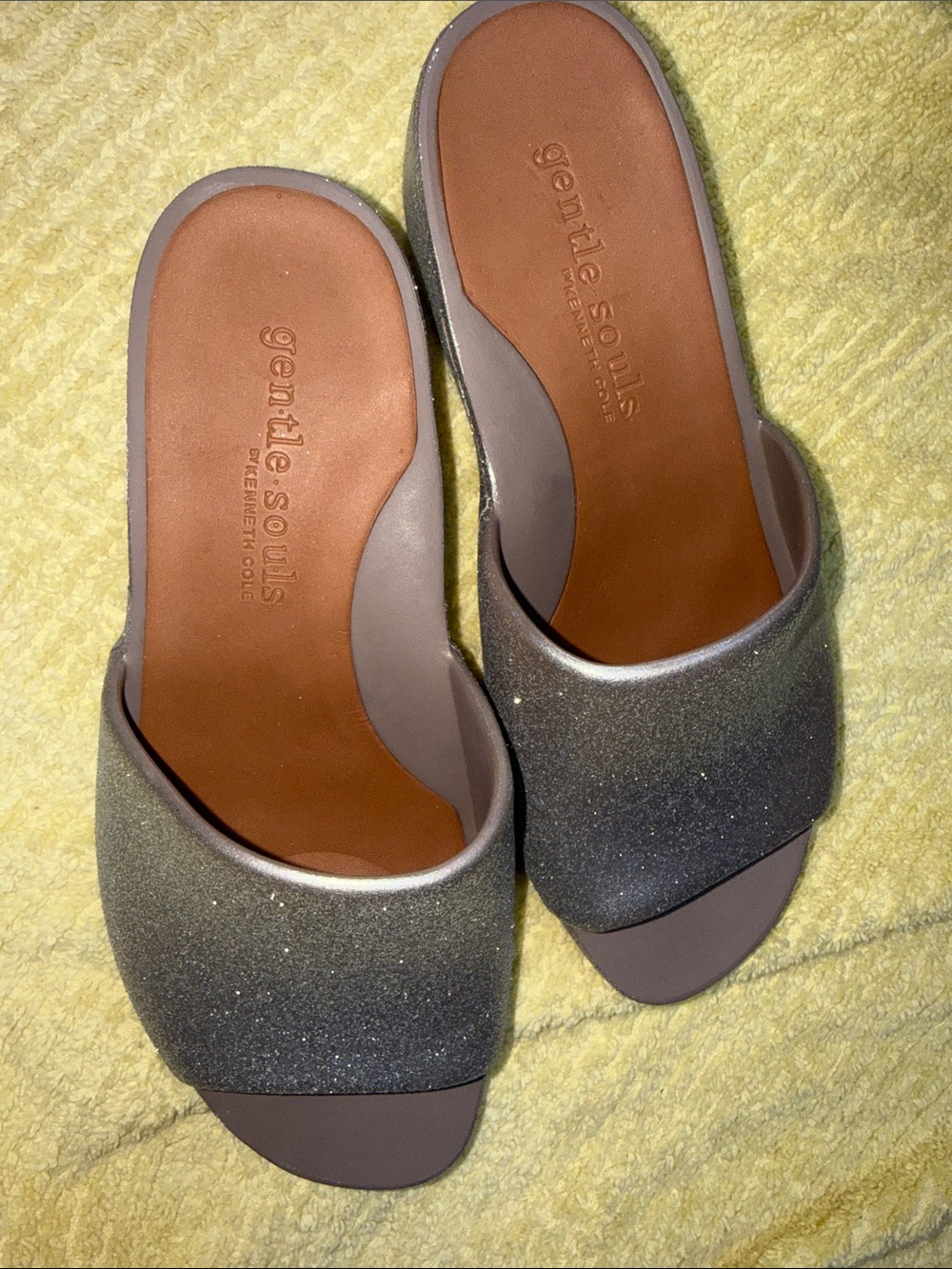 Silver gentle souls slide sandal